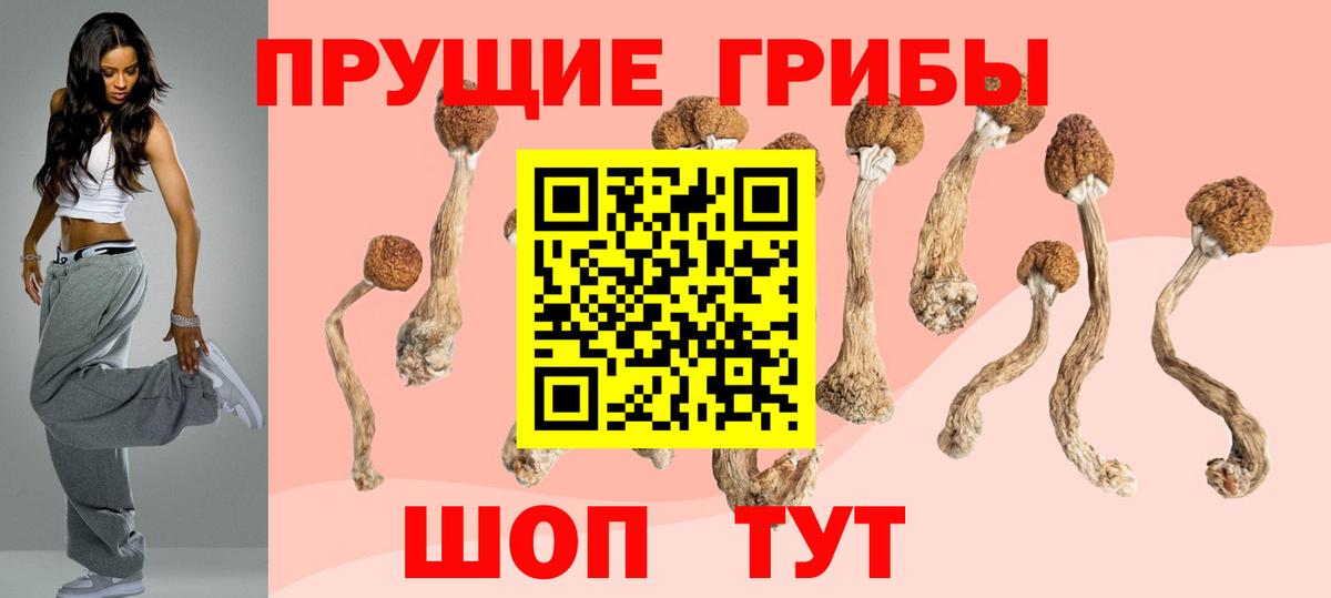 Тула  Галлюциногенные грибы Cubensis  Вход с VPN 